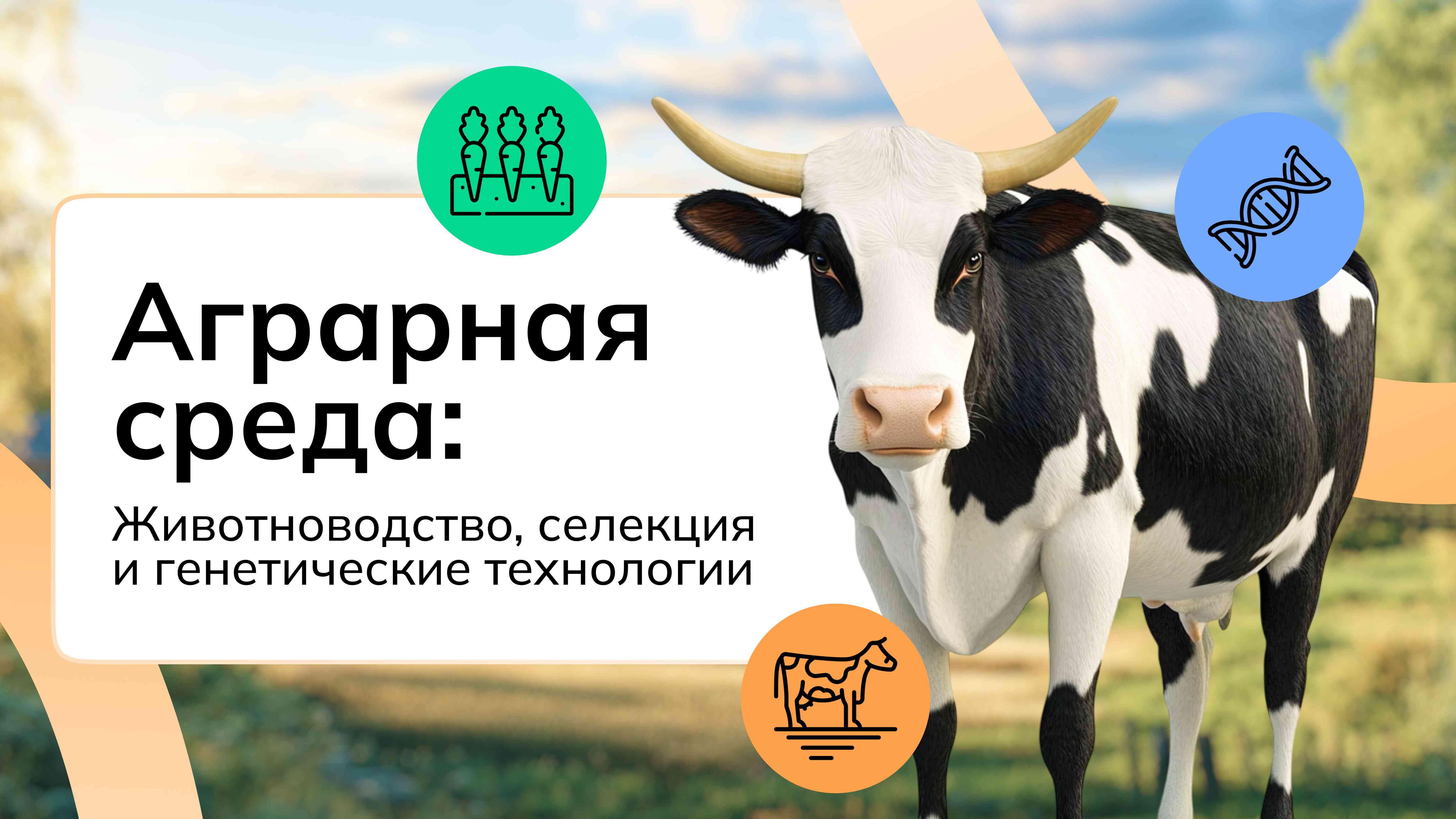 Тема 31: Россия аграрная: животноводство, селекция и генетика.